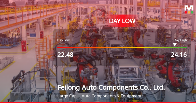 Feilong Auto Components Hits Day Low Amid Price Pressure at CNY 22.48