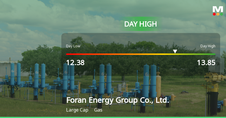 Foran Energy Stock Soars 15.06%, Hits Intraday High of CNY 13.85