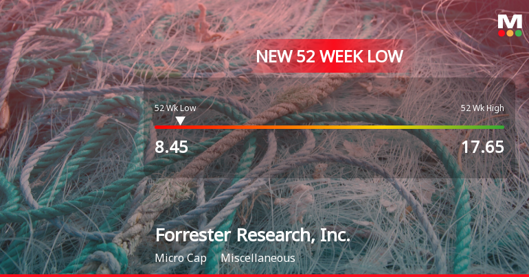 Forrester Research Stock Plummets to New 52-Week Low of $8.45