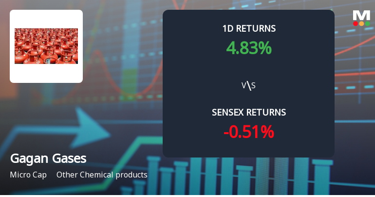 Gagan Gases Ltd Surges 4.83% Today, Reaching Intraday High of Rs 24.95 Amid Market Decline