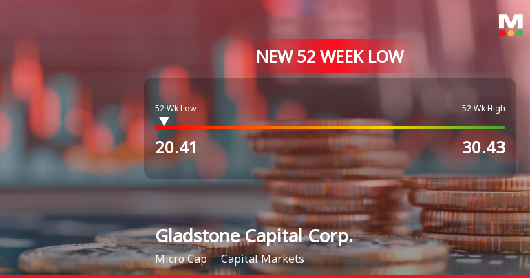 Gladstone Capital Corp. Hits New 52-Week Low at USD 20.41