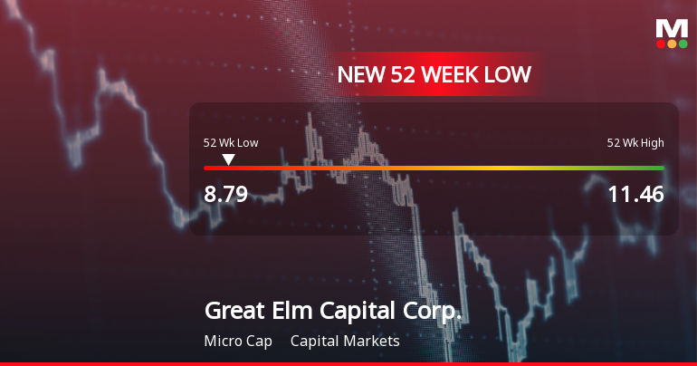 Great Elm Capital Corp. Hits New 52-Week Low at $8.79