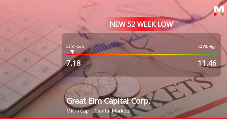 Great Elm Capital Corp. Hits New 52-Week Low at $7.18