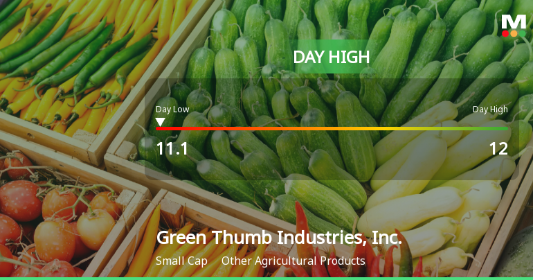 Green Thumb Industries Hits Day High with 9.67% Surge in Stock Price