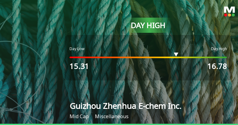Guizhou Zhenhua E-chem Inc. Hits Day High with 11.49% Surge