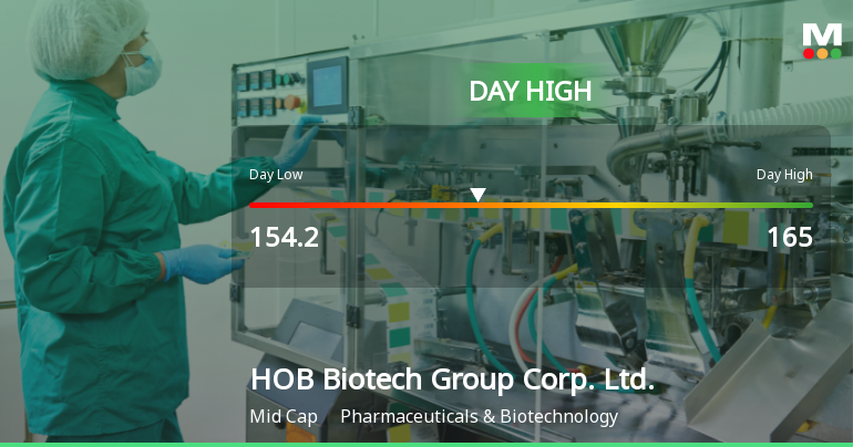 HOB Biotech Stock Hits Day High with Strong 5.3% Intraday Surge