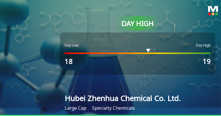 Hubei Zhenhua Chemical Hits Day High with Strong 3.69% Intraday Surge
