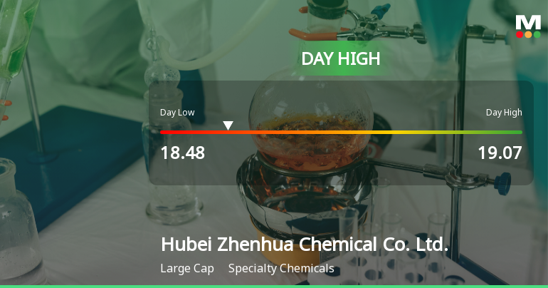 Hubei Zhenhua Chemical Hits Day High with 10.65% Surge in Stock Price