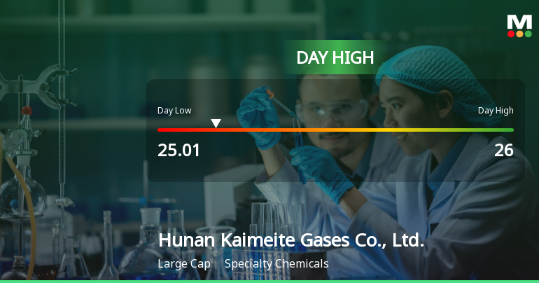 Hunan Kaimeite Gases Hits Day High with 5.23% Surge in Stock Price