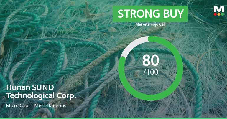 Hunan SUND Technological Corp. Adjusts Valuation Amidst Financial Performance Shifts