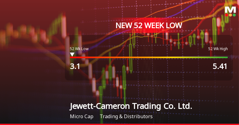 Jewett-Cameron Trading Co. Stock Hits New 52-Week Low at $3.10