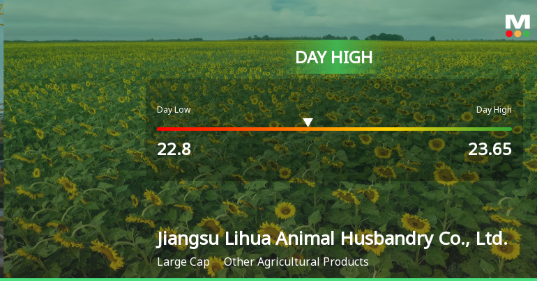 Jiangsu Lihua Stock Hits Day High with Strong 4.47% Intraday Surge