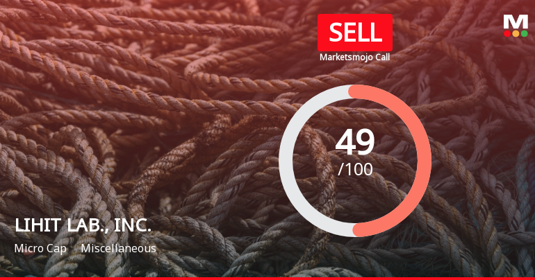 LIHIT LAB., INC. Experiences Shift in Valuation and Market Sentiment Amid Challenges