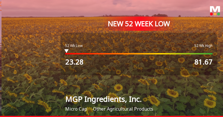 MGP Ingredients Hits 52-Week Low at $23.28 Amidst Ongoing Struggles