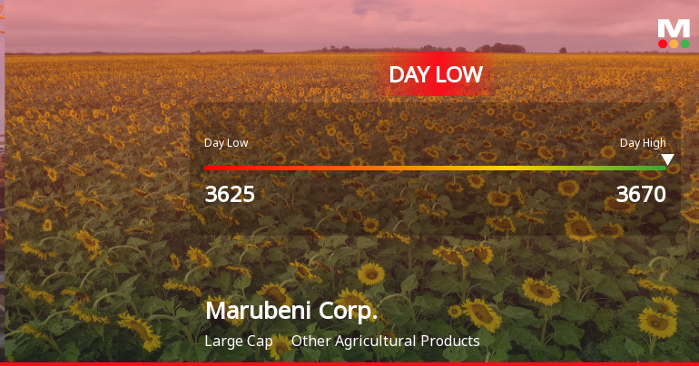 Marubeni Corp. Stock Hits Day Low Amid Price Pressure at JPY 3,625.00