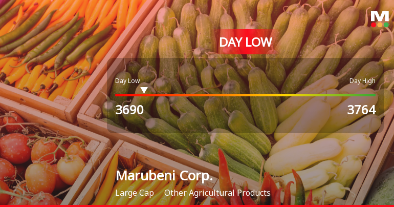 Marubeni Corp. Hits Day Low at JPY 3,690 Amid Price Pressure