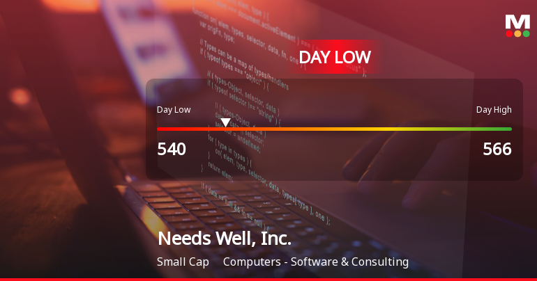 Needs Well, Inc. Hits Day Low of JPY 540 Amid Price Pressure