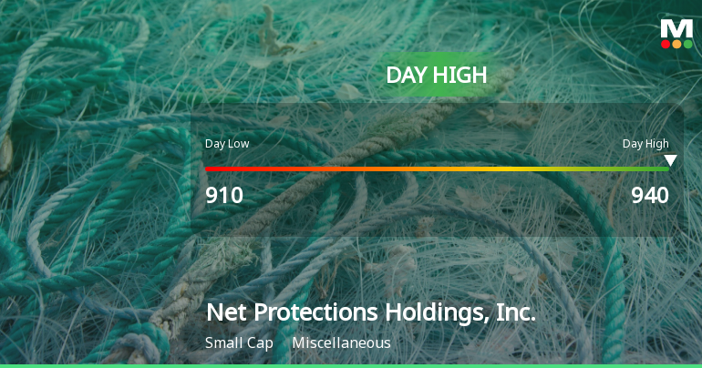 Net Protections Holdings Hits Day High with 8.67% Surge in Stock Price