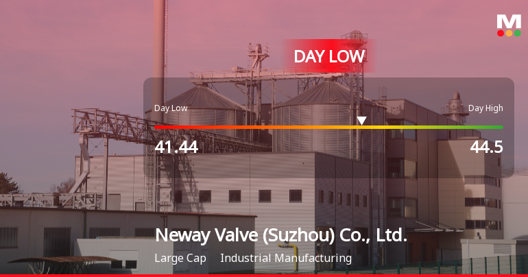 Neway Valve Stock Hits Day Low of CNY 41.44 Amid Price Pressure