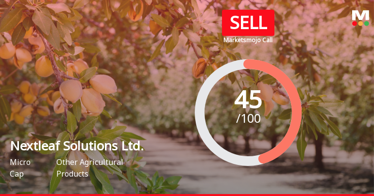 Nextleaf Solutions Adjusts Valuation Amid Mixed Financial Performance and Market Outlook