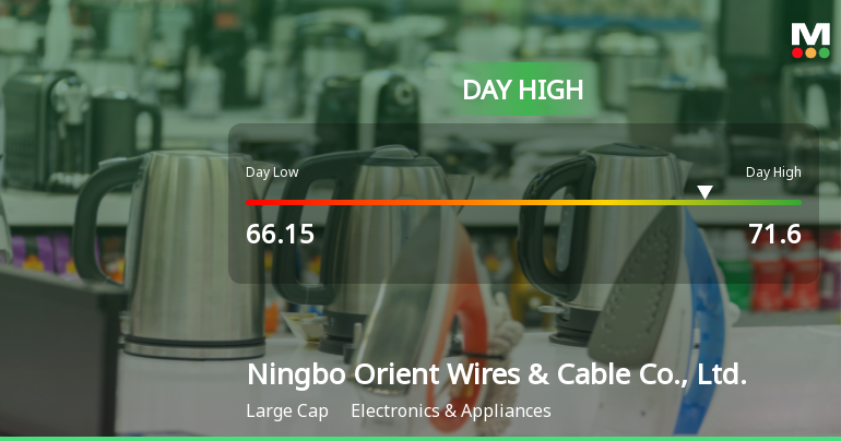 Ningbo Orient Wires Hits Day High with 12.84% Surge in Stock Price