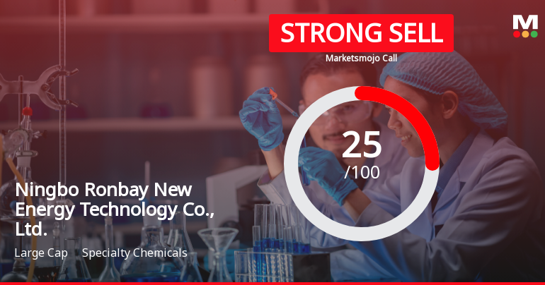 Ningbo Ronbay Faces Complex Financial Landscape Amid Valuation Adjustments and Growth Metrics