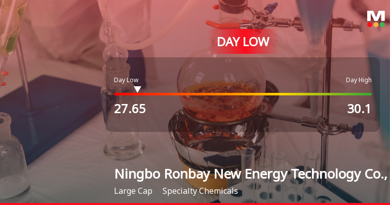 Ningbo Ronbay Stock Hits Day Low of CNY 27.65 Amid Price Pressure