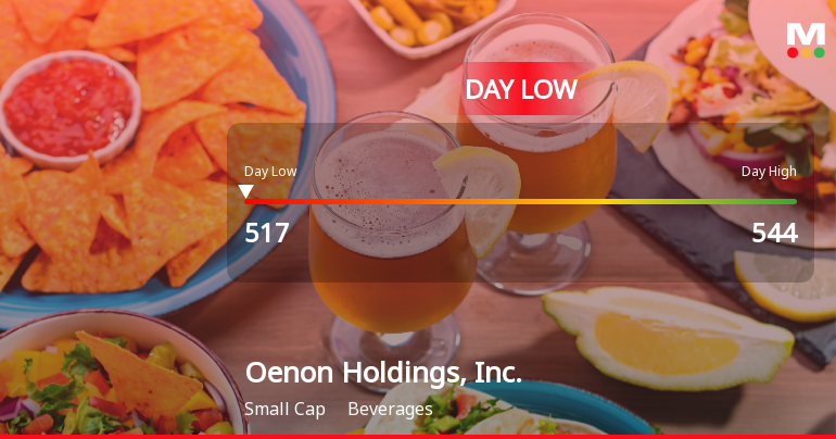 Oenon Holdings Stock Hits Day Low of JPY 517 Amid Price Pressure