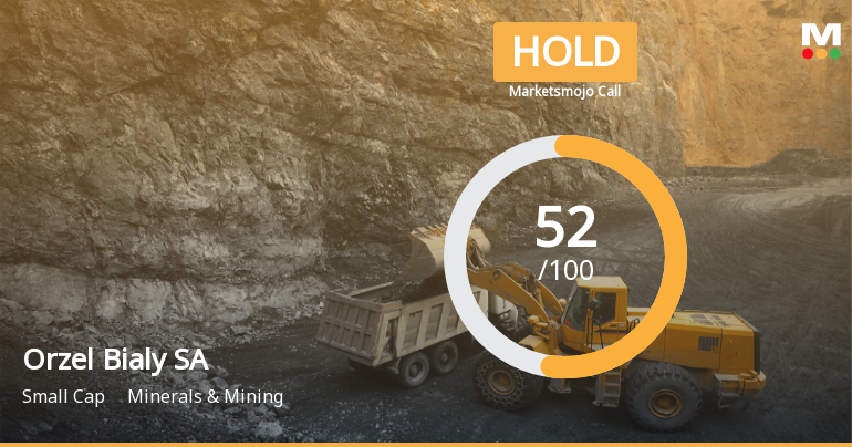 Orzel Bialy SA Adjusts Valuation Amid Financial Metric Changes and Debt Management Challenges