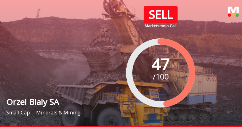 Orzel Bialy SA Adjusts Valuation Amid Rising Interest Expenses and Mixed Financial Signals