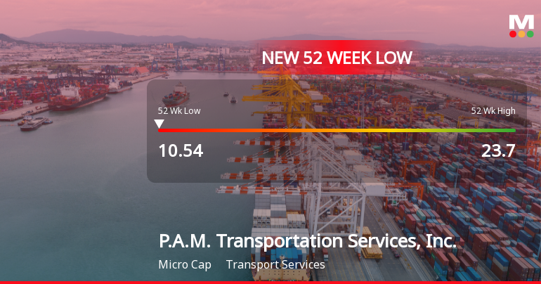 P.A.M. Transportation Services Hits New 52-Week Low at $10.63