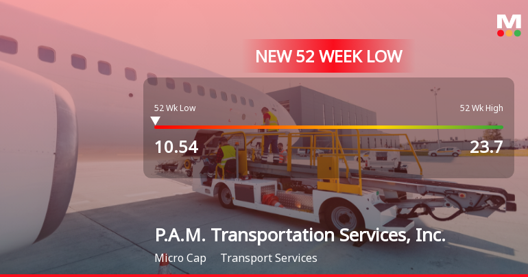 P.A.M. Transportation Services Hits New 52-Week Low at $10.54