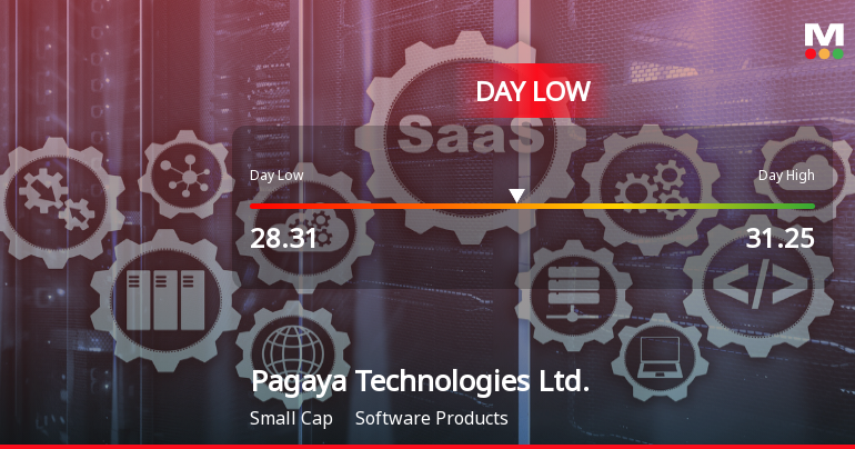 Pagaya Technologies Hits Day Low of $28.30 Amid Price Pressure