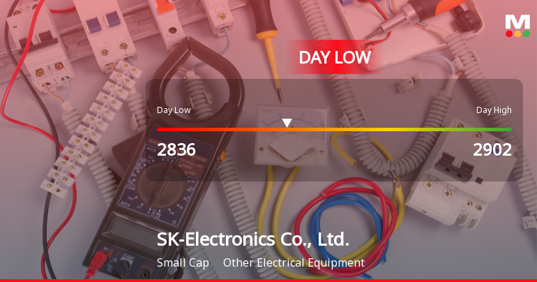 SK-Electronics Hits Day Low of JPY 2,836 Amid Price Pressure