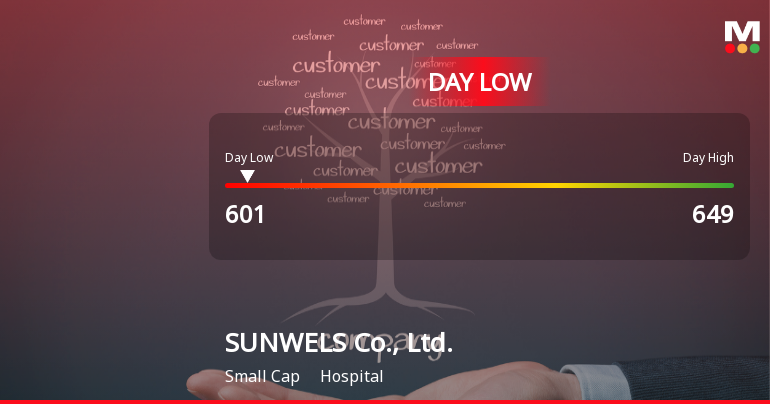 SUNWELS Co., Ltd. Hits Day Low at JPY 601 Amid Price Pressure