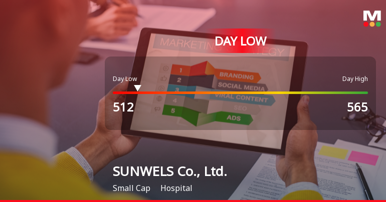 SUNWELS Co., Ltd. Hits Day Low of JPY 512 Amid Price Pressure