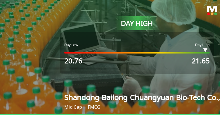 Shandong Bailong Chuangyuan Hits Day High with 5.05% Surge in Stock Price