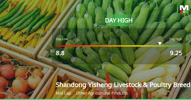 Shandong Yisheng Stock Soars 6.38%, Hits Intraday High of CNY 9.25
