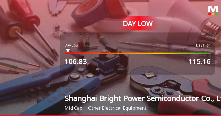 Shanghai Bright Power Stock Hits Day Low Amid Price Pressure at CNY 106.83