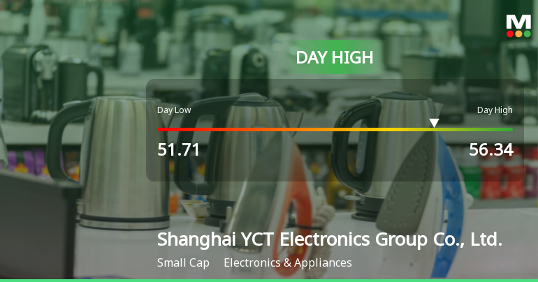 Shanghai YCT Electronics Hits Day High with 12.44% Surge in Stock Price