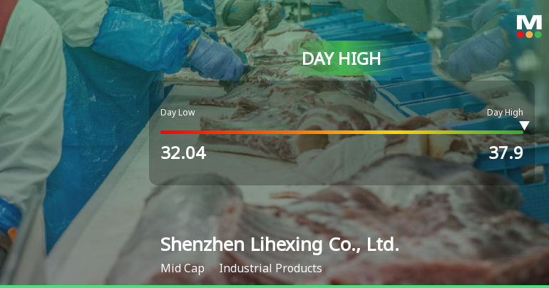 Shenzhen Lihexing Soars 34% to Day High Amid Strong Intraday Performance
