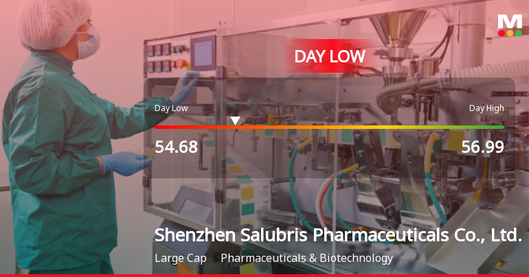 Shenzhen Salubris Pharmaceuticals Hits Day Low Amid Price Pressure at CNY 54.68