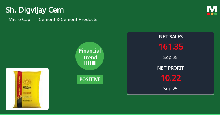 Shree Digvijay Cement Reports Profit Surge Amid Declining Net Sales Trends
