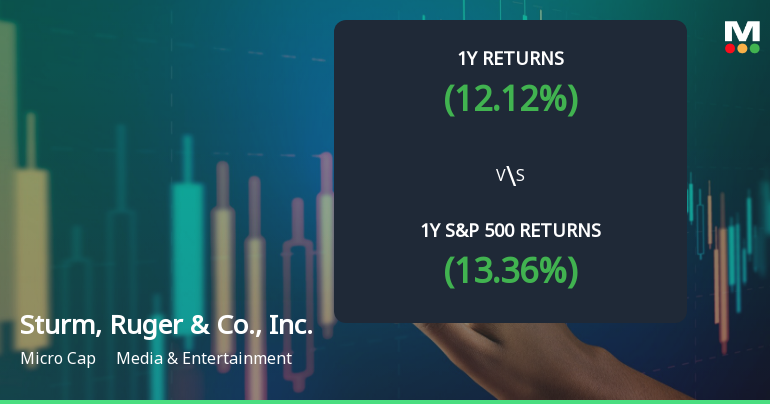Sturm, Ruger & Co., Inc. Experiences Evaluation Revision Amid Strong Market Performance