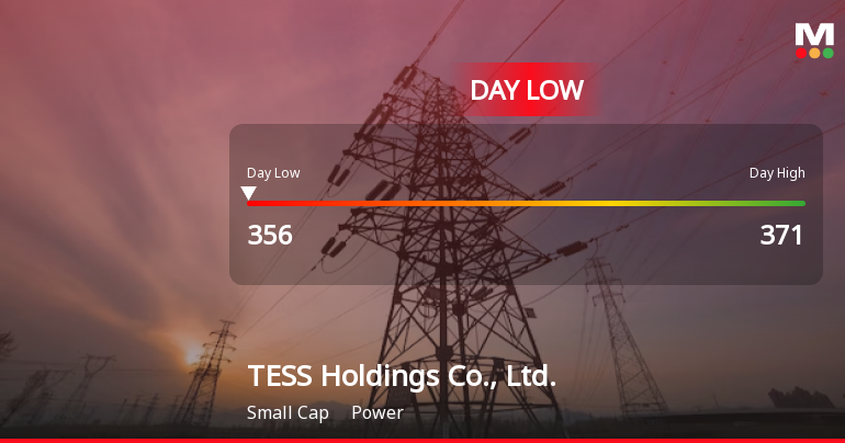 TESS Holdings Hits Day Low at JPY 356 Amid Price Pressure