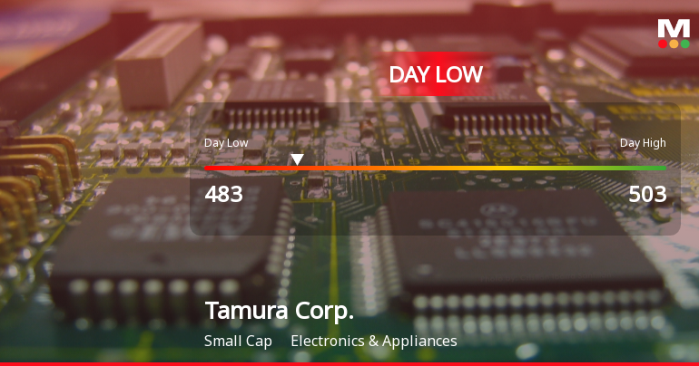 Tamura Corp. Stock Hits Day Low of JPY 483 Amid Price Pressure