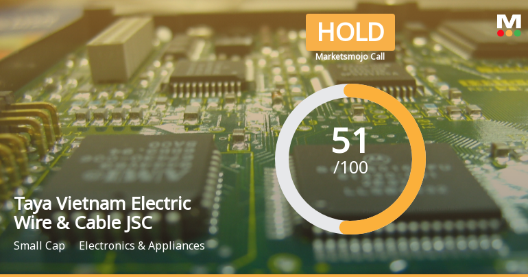 Taya Vietnam Electric Wire & Cable JSC Sees Valuation Adjustment Amid Strong Financial Growth