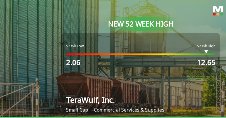 TeraWulf, Inc. Hits New 52-Week High at $12.64, Up 287%
