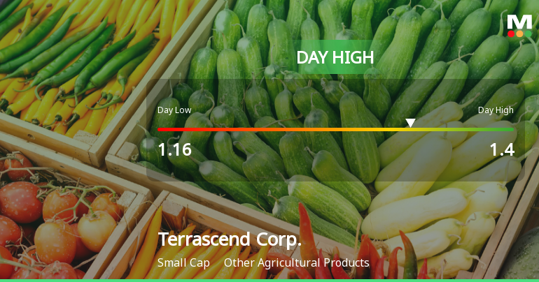 Terrascend Corp. Hits Day High with Strong 12.71% Intraday Surge