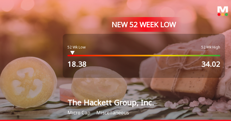 The Hackett Group Hits New 52-Week Low at $18.38